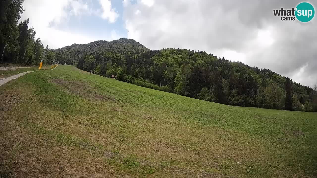 Ski Kranjska Gora | Brsnina