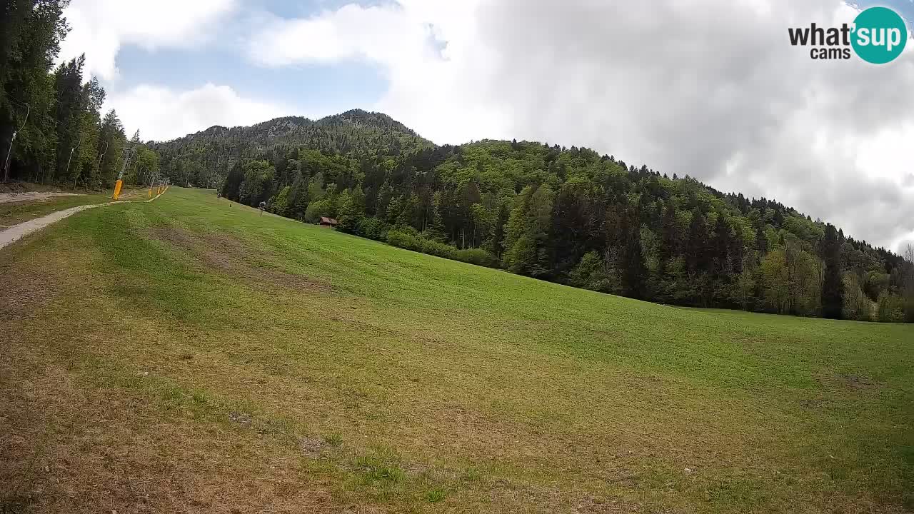 Esquí Kranjska Gora | Brsnina