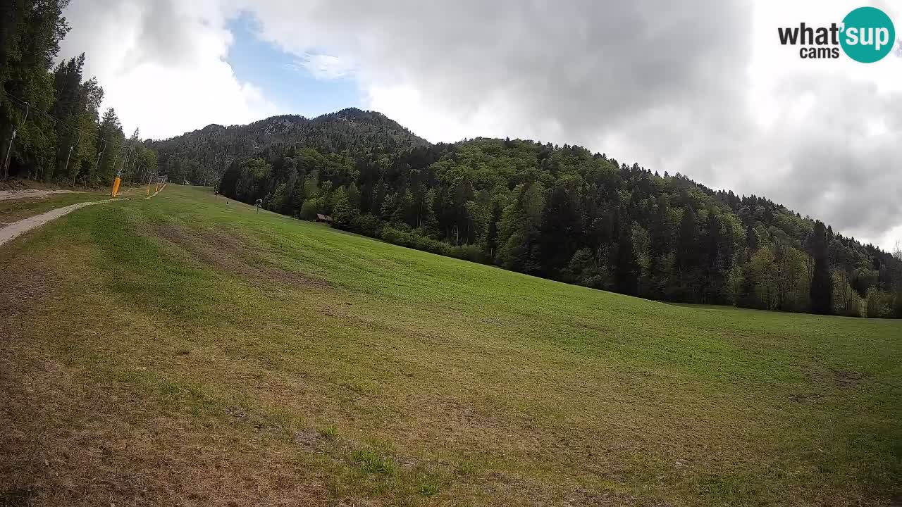 Comprensorio sciistico Kranjska Gora | Brsnina