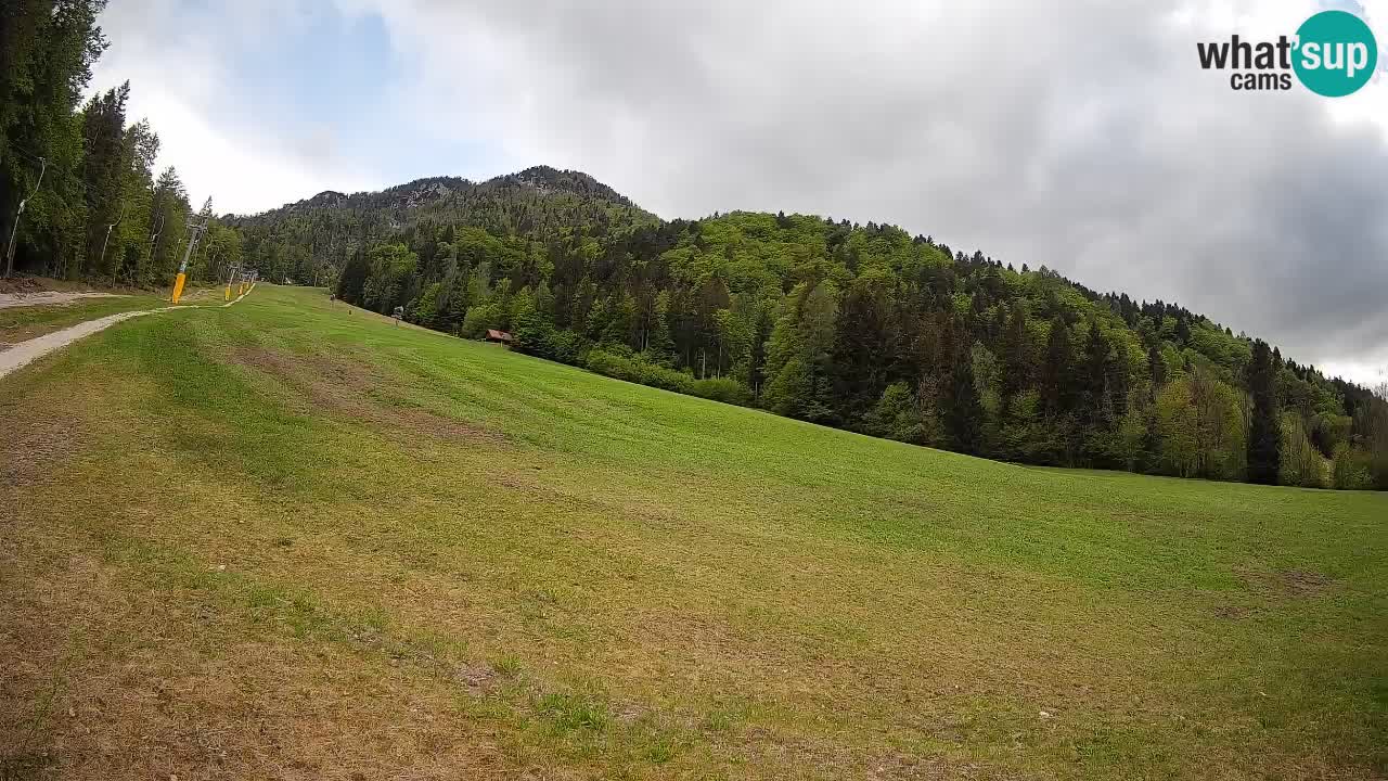 RTC Skigebiet Kranjska Gora | Brsnina