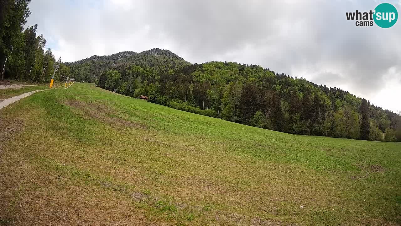 Ski Kranjska Gora | Brsnina