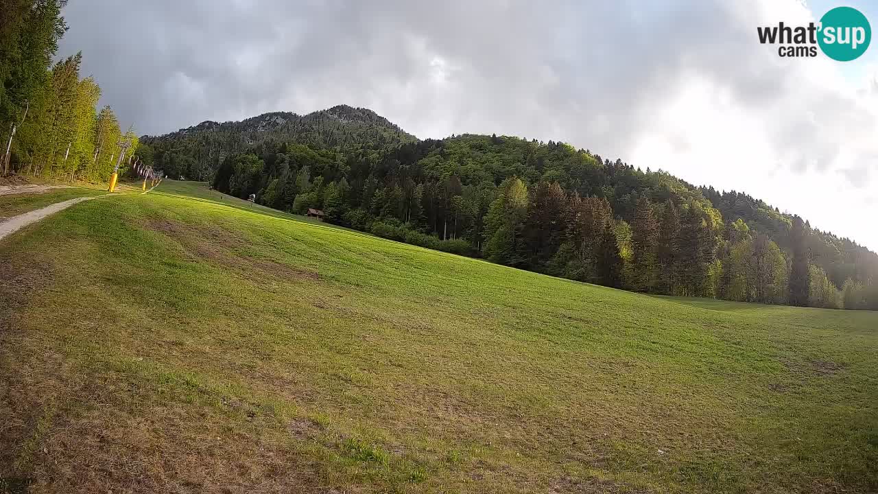 RTC Skigebiet Kranjska Gora | Brsnina