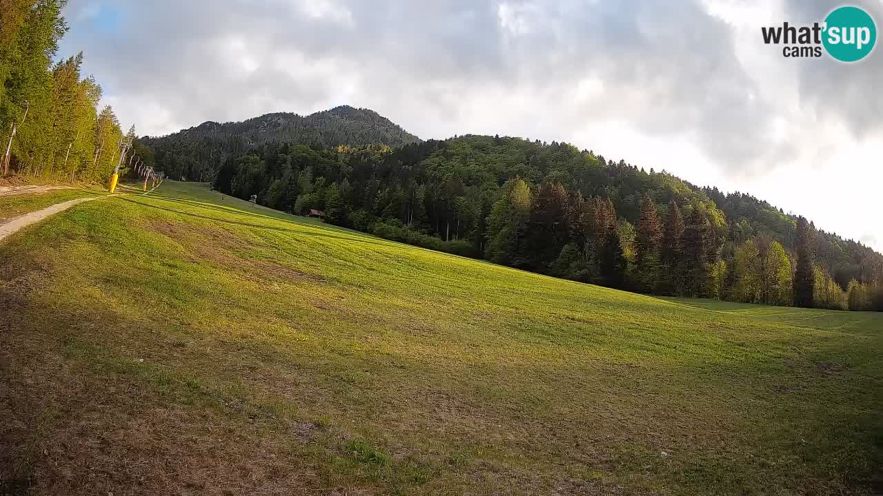 Kranjska Gora Station de ski | Brsnina