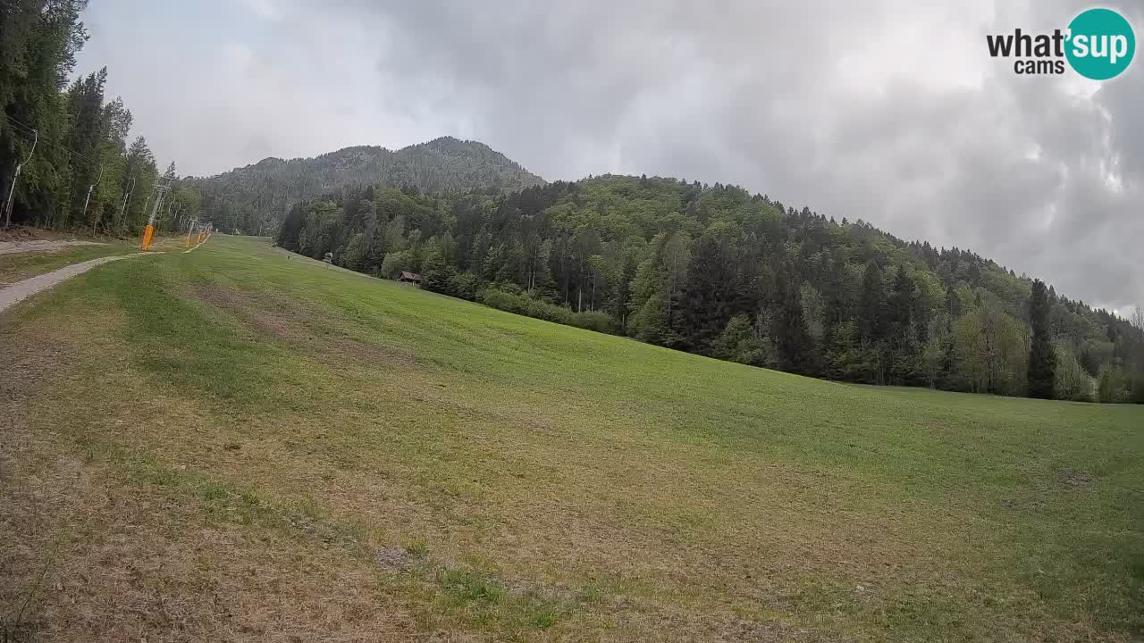 Esquí Kranjska Gora | Brsnina