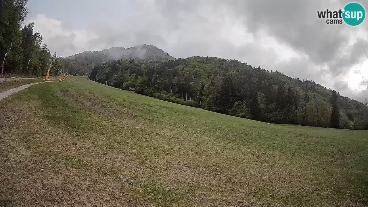 RTC Skigebiet Kranjska Gora | Brsnina