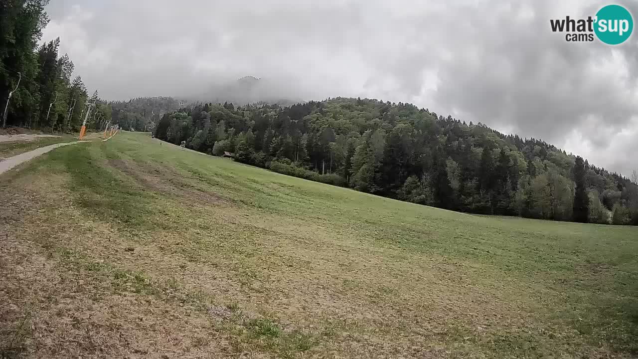Esquí Kranjska Gora | Brsnina