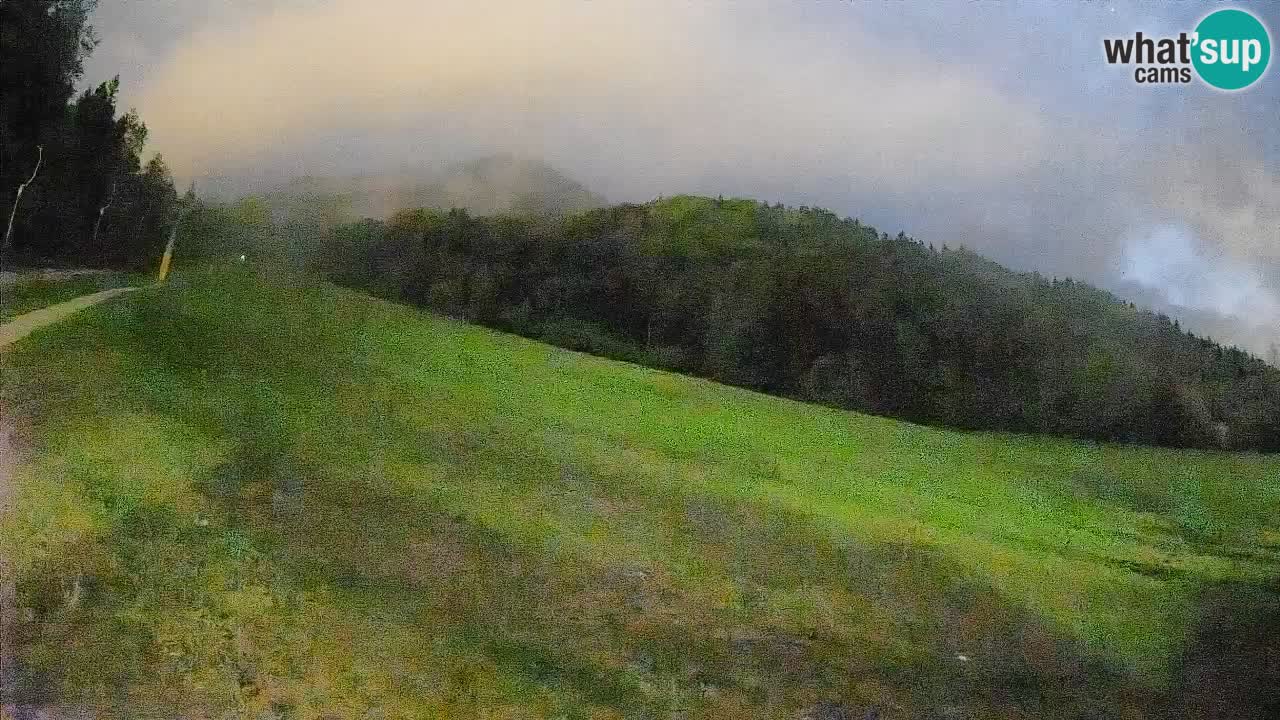 Esquí Kranjska Gora | Brsnina