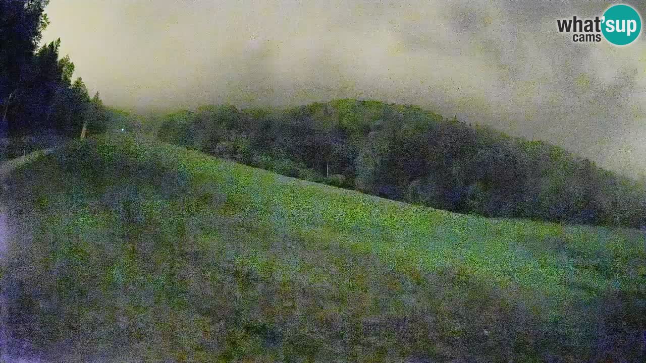 RTC Kranjska Gora | Brsnina