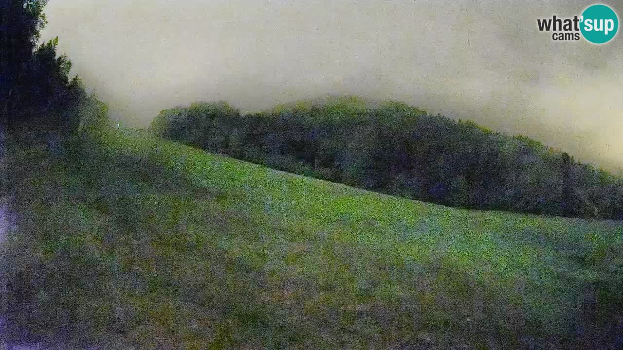 RTC Kranjska Gora | Brsnina