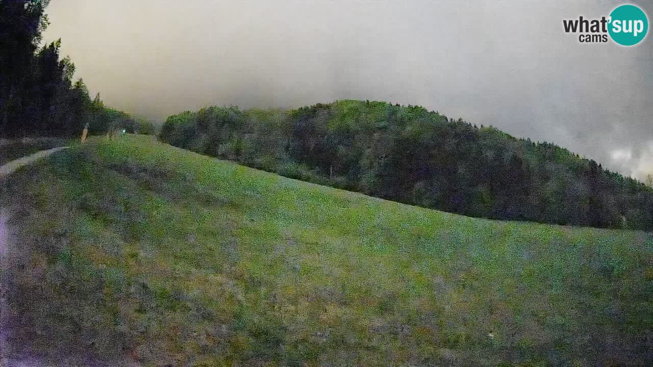 Ski Kranjska Gora | Brsnina