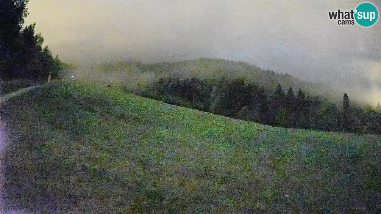 Ski Kranjska Gora | Brsnina