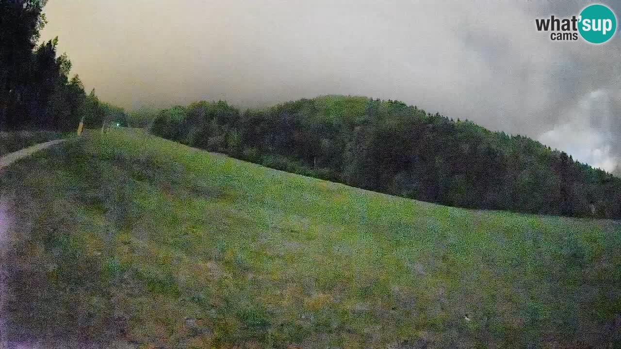 Ski Kranjska Gora | Brsnina