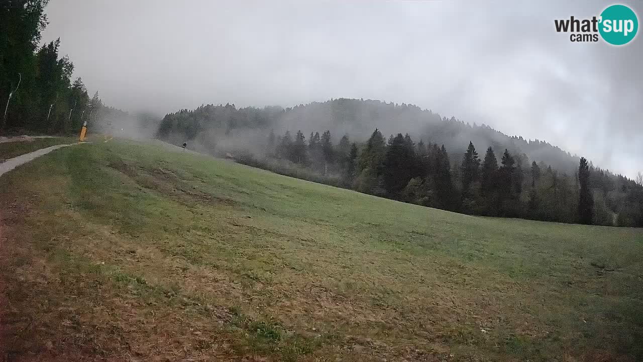 Kranjska Gora Station de ski | Brsnina