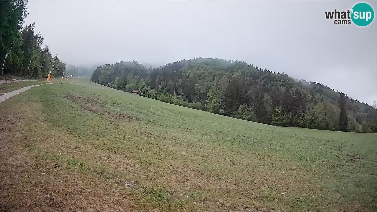 RTC Kranjska Gora | Brsnina