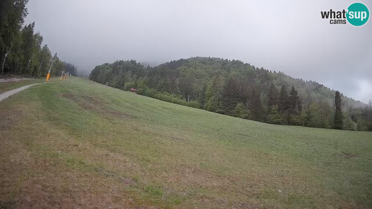 RTC Skigebiet Kranjska Gora | Brsnina