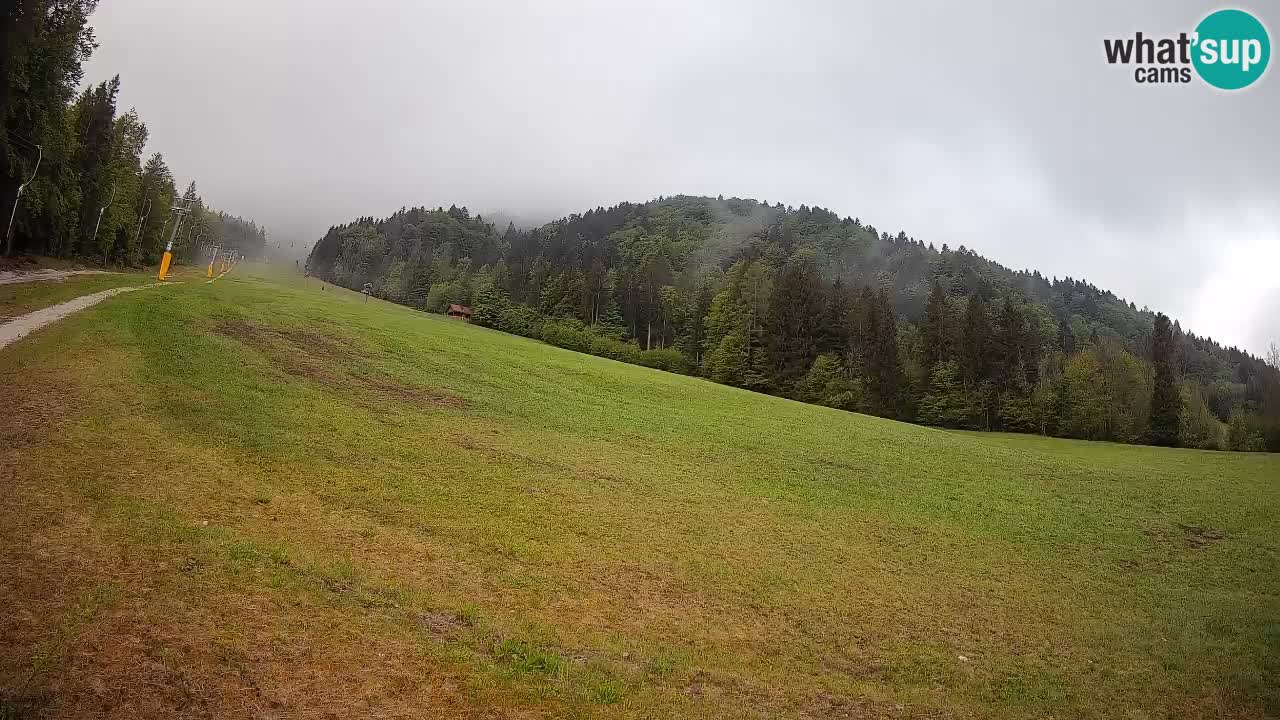 Kranjska Gora SKIJANJE | Brsnina