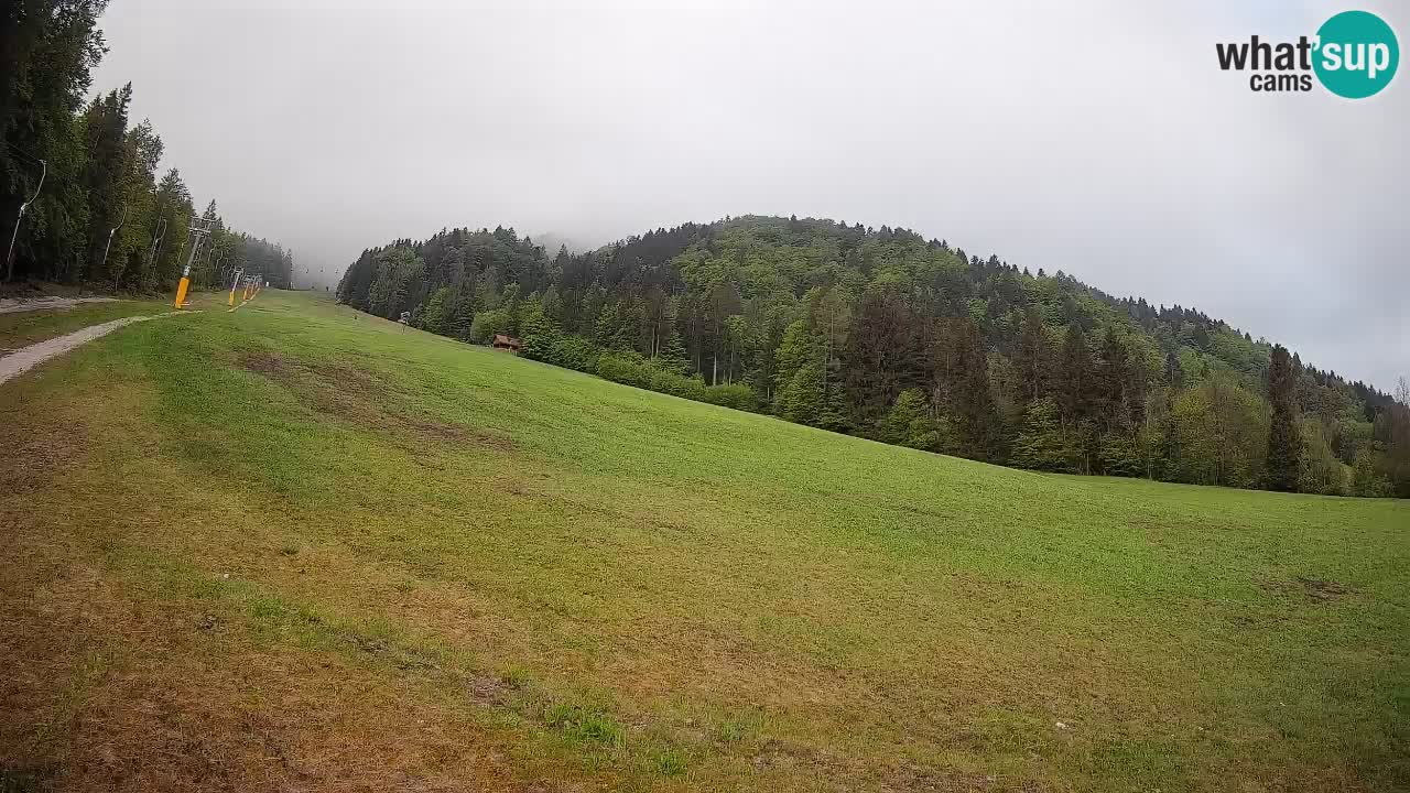 Ski Kranjska Gora | Brsnina