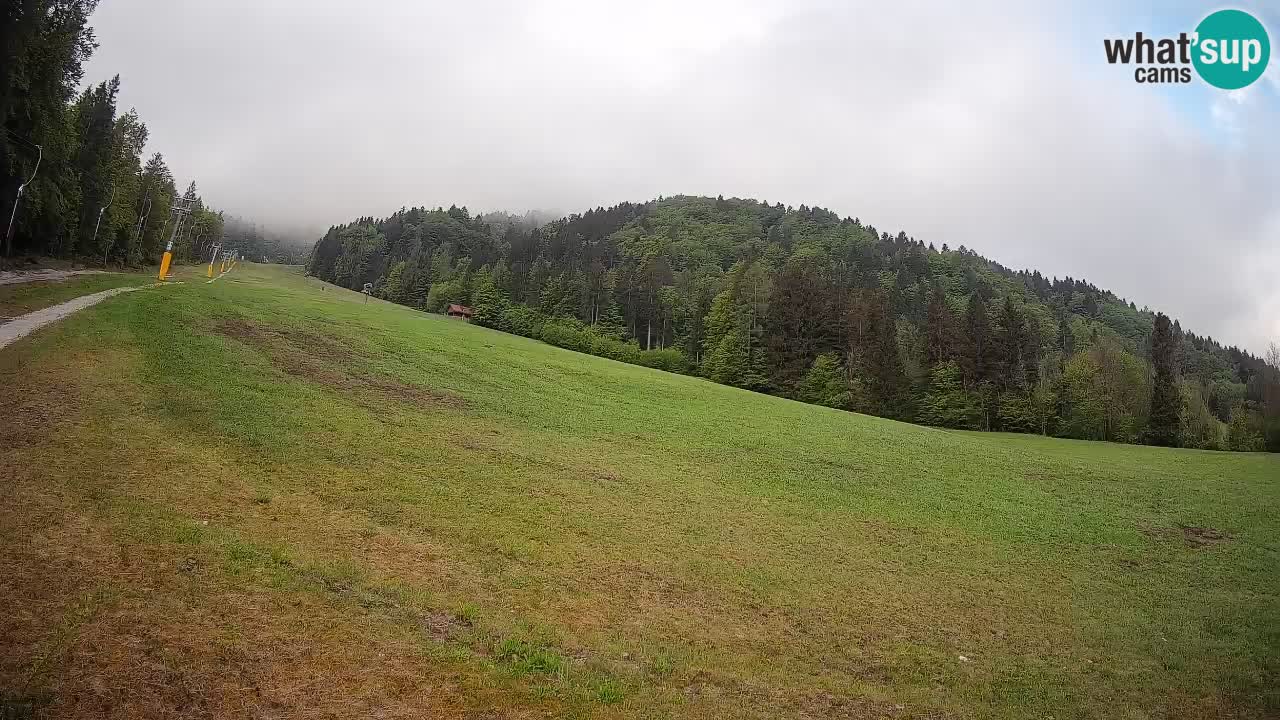 Ski Kranjska Gora | Brsnina