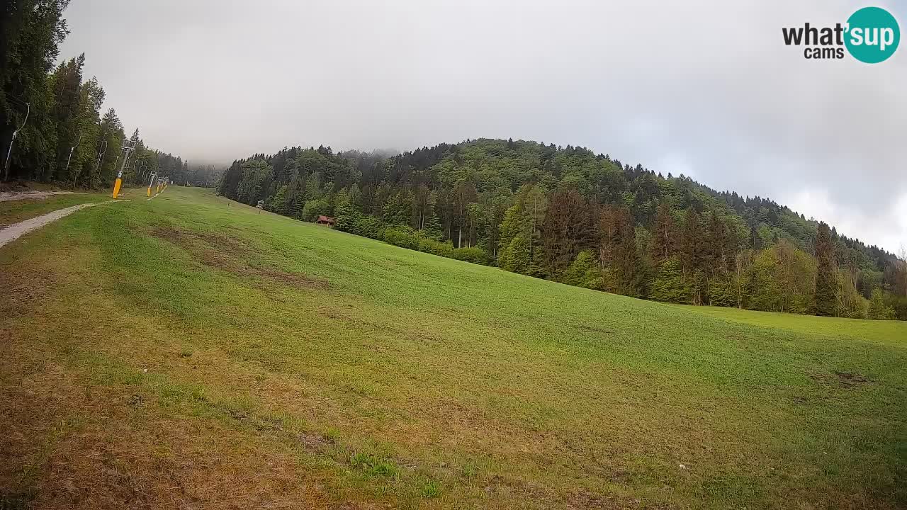 Esquí Kranjska Gora | Brsnina