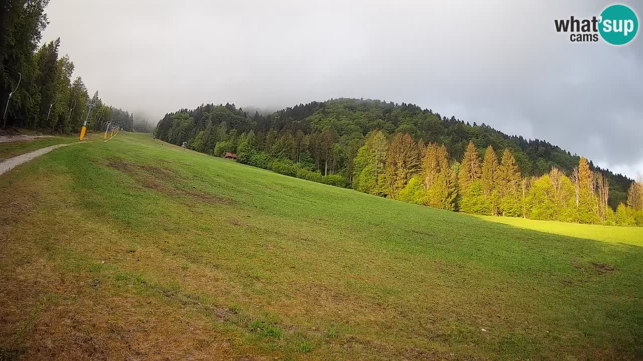 Esquí Kranjska Gora | Brsnina