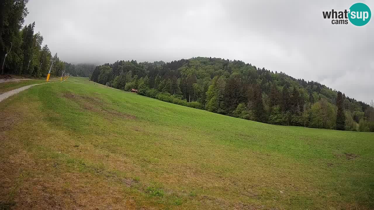 Ski Kranjska Gora | Brsnina