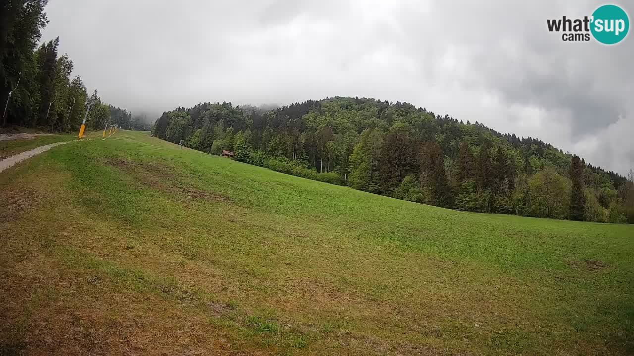 Ski Kranjska Gora | Brsnina