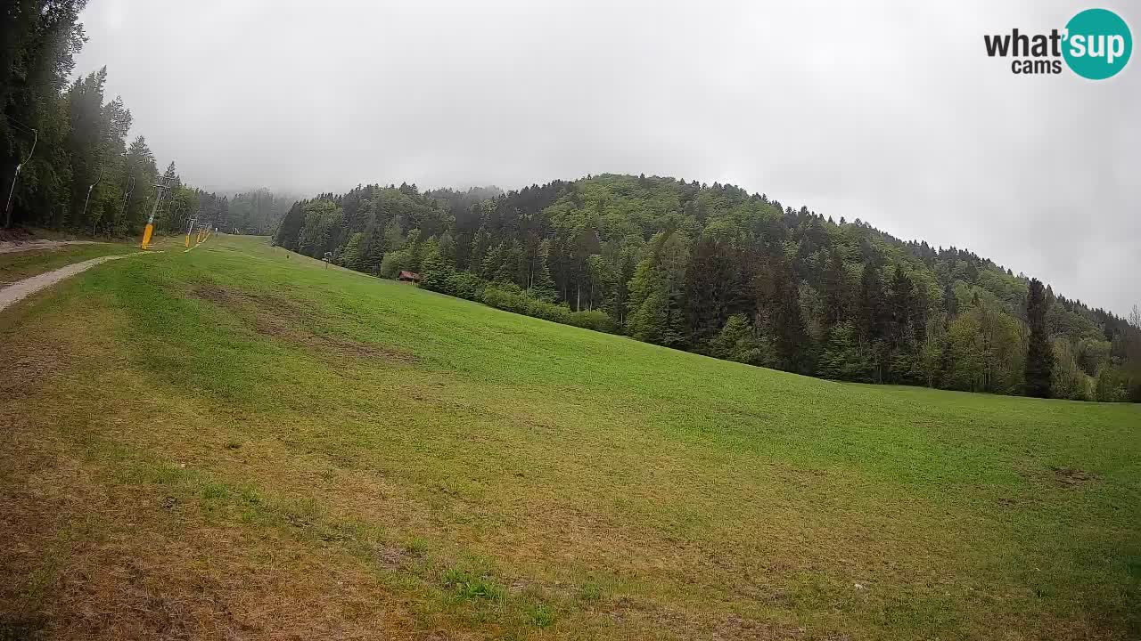 Kranjska Gora Station de ski | Brsnina