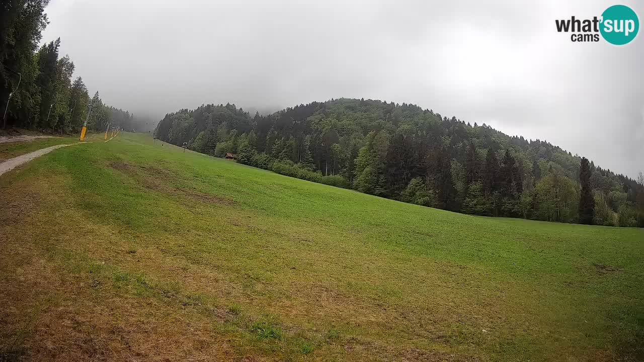 Ski Kranjska Gora | Brsnina