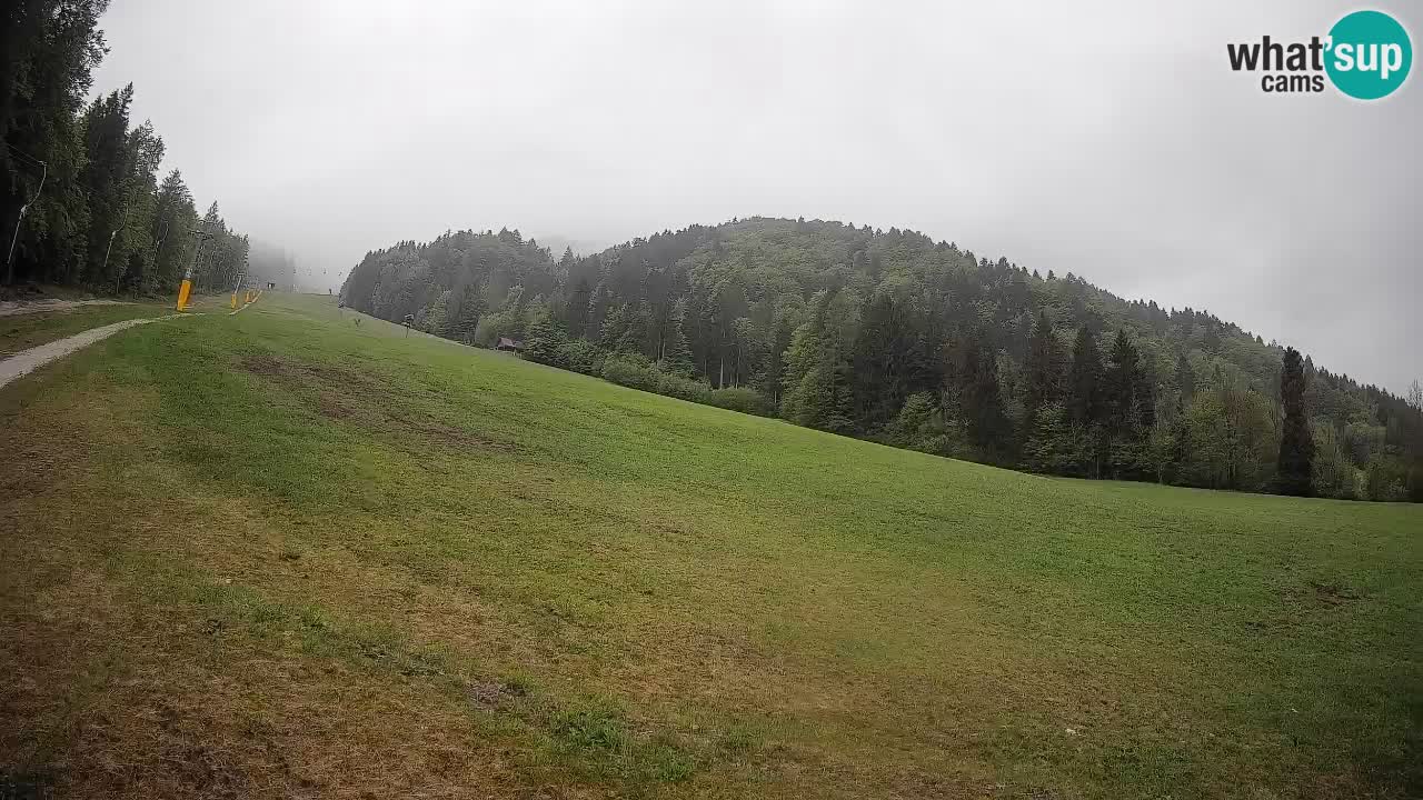 Ski Kranjska Gora | Brsnina