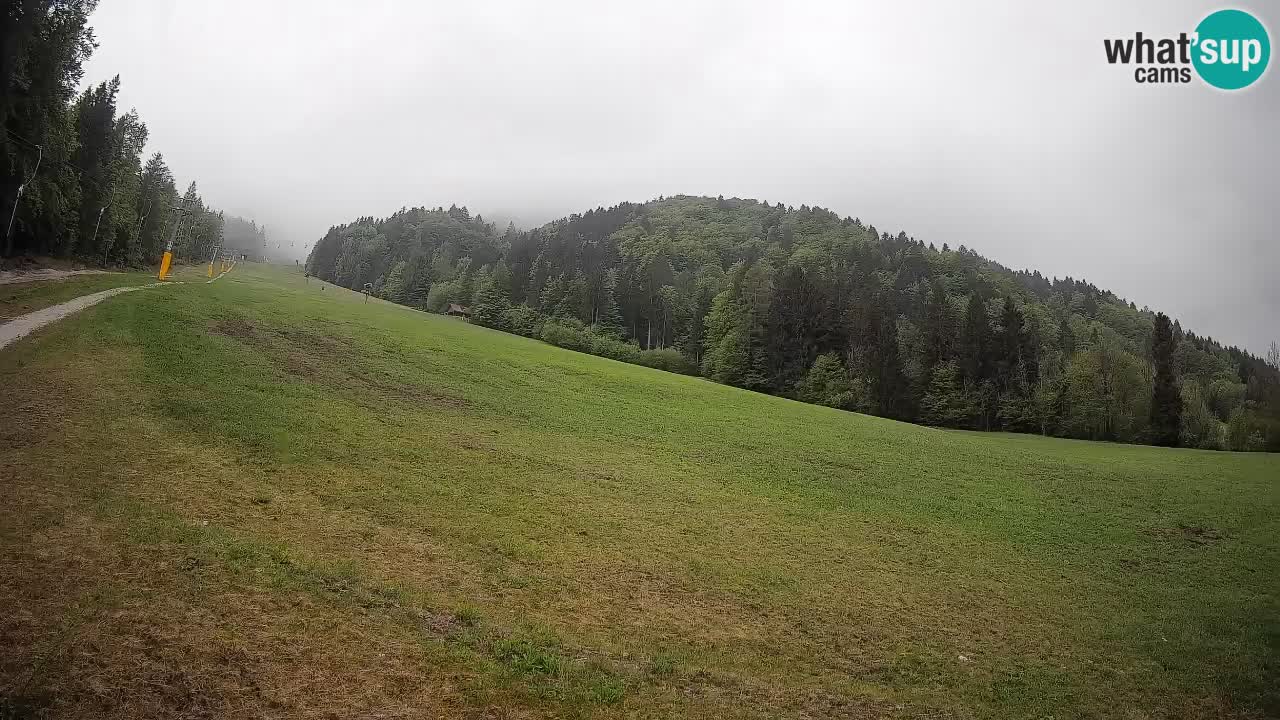 Comprensorio sciistico Kranjska Gora | Brsnina