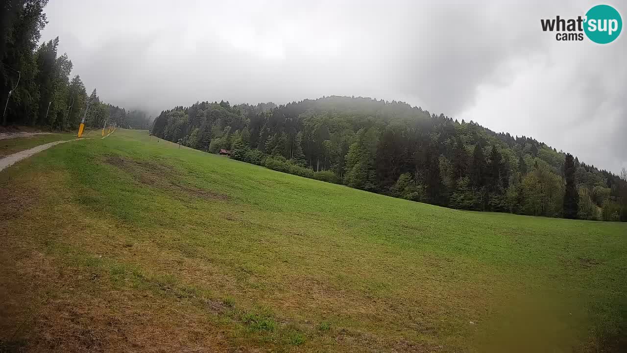 Kranjska Gora Station de ski | Brsnina