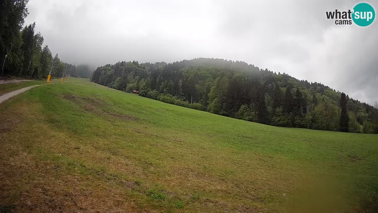 Ski Kranjska Gora | Brsnina