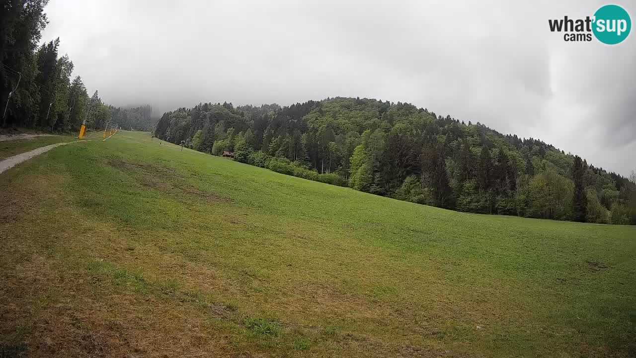 Esquí Kranjska Gora | Brsnina