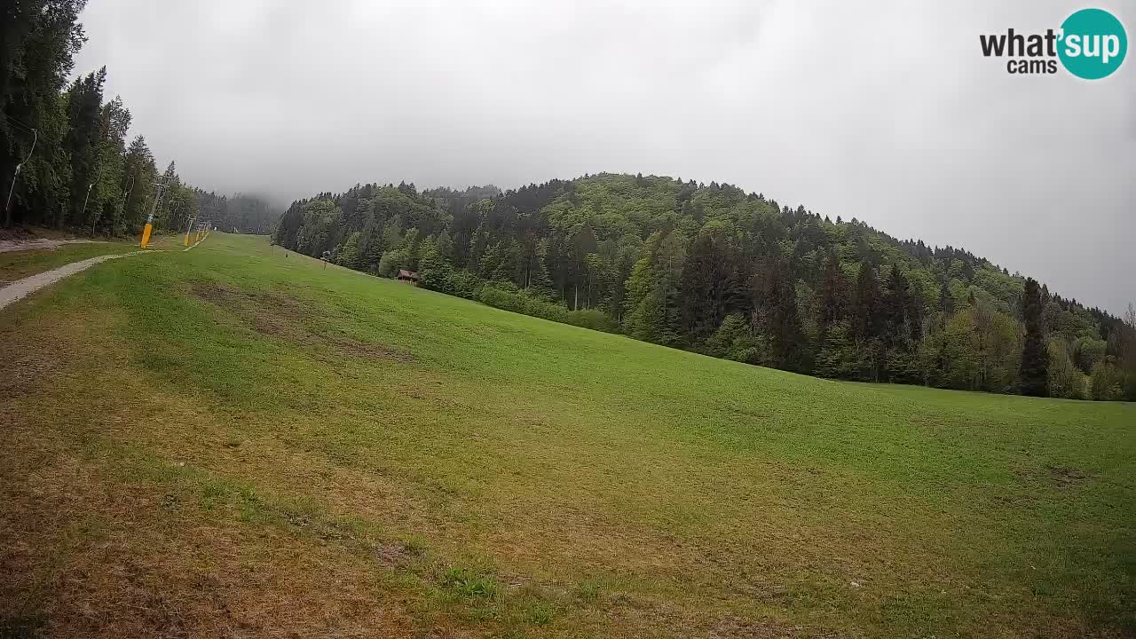 Kranjska Gora SKIJANJE | Brsnina