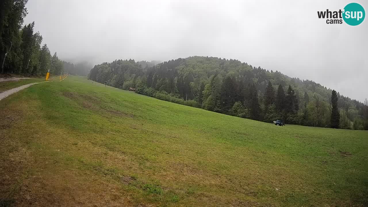 Ski Kranjska Gora | Brsnina