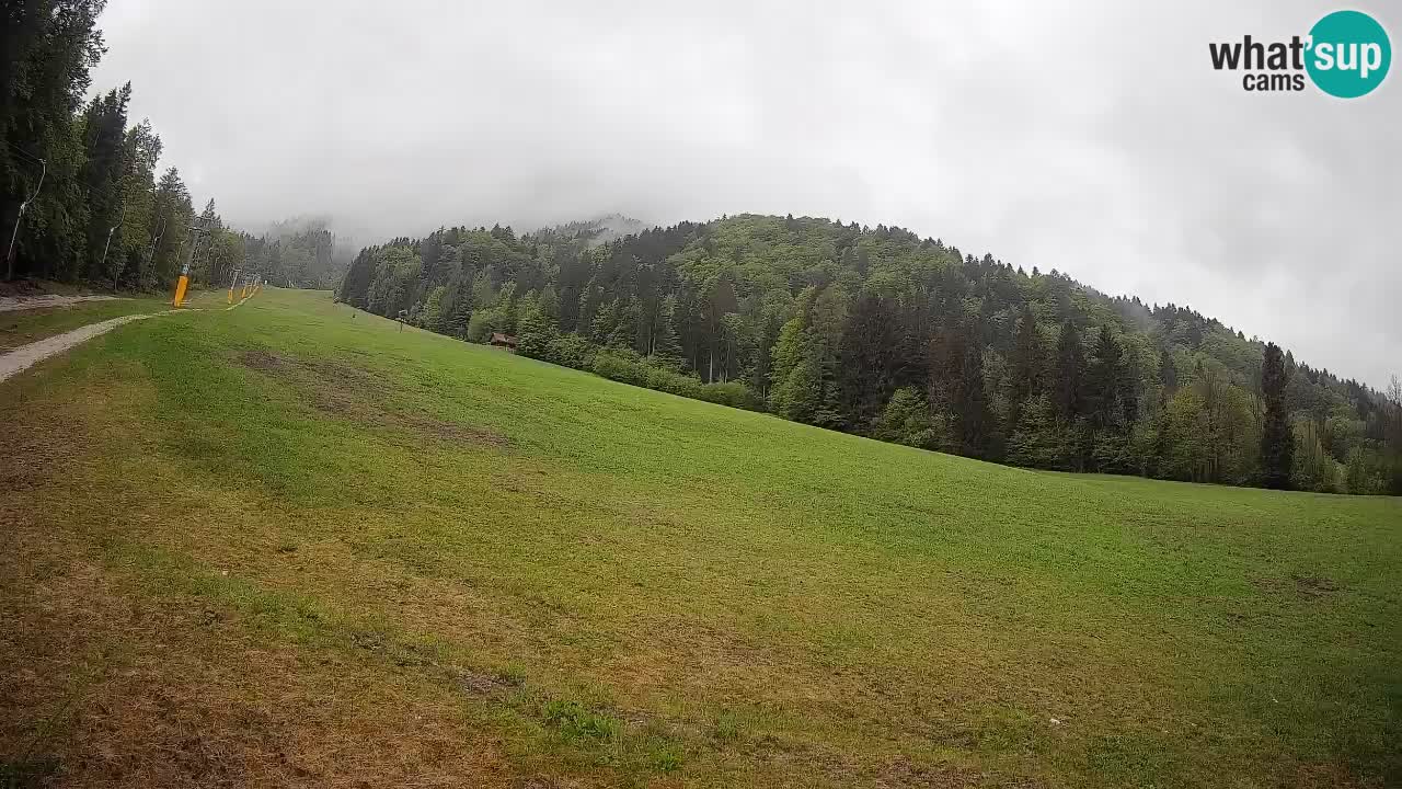 Ski Kranjska Gora | Brsnina