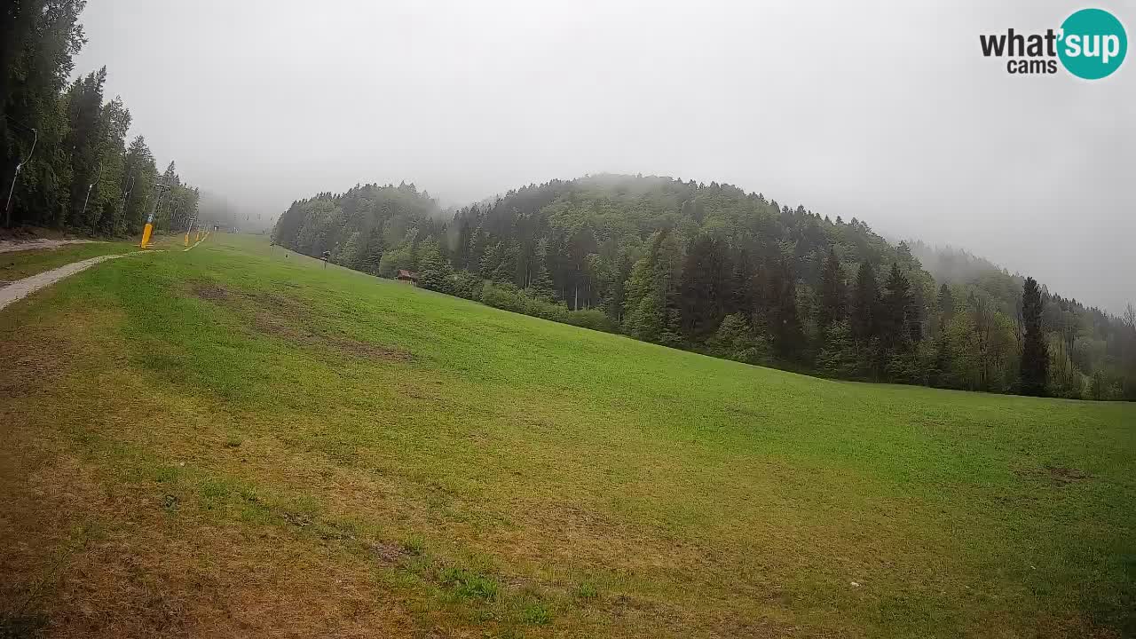 RTC Kranjska Gora | Brsnina