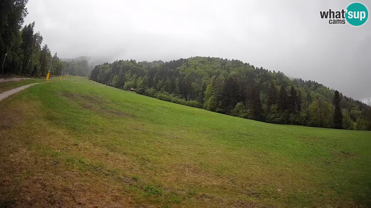 Ski Kranjska Gora | Brsnina
