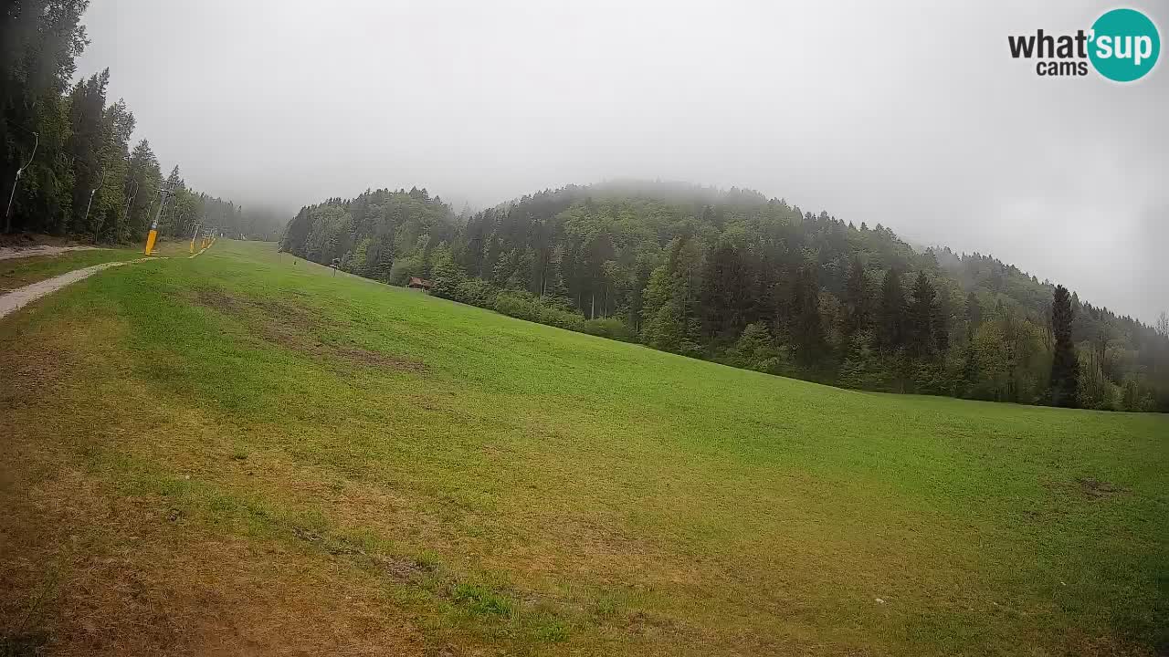 RTC Kranjska Gora | Brsnina