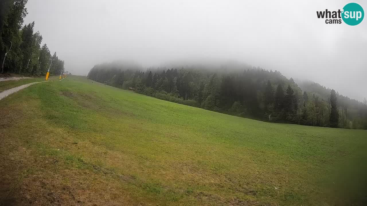 Kranjska Gora SKIJANJE | Brsnina