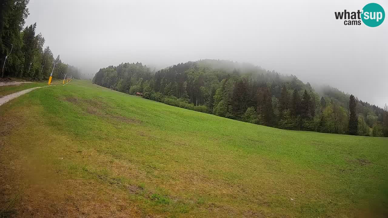 RTC Kranjska Gora | Brsnina