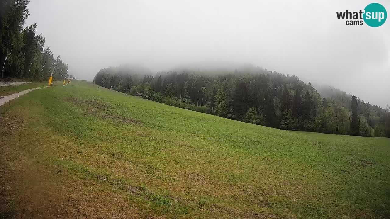 Comprensorio sciistico Kranjska Gora | Brsnina