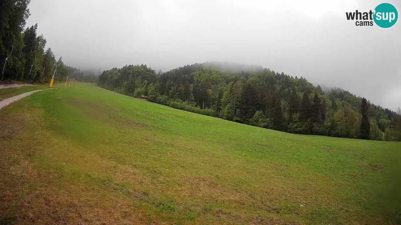 RTC Skigebiet Kranjska Gora | Brsnina