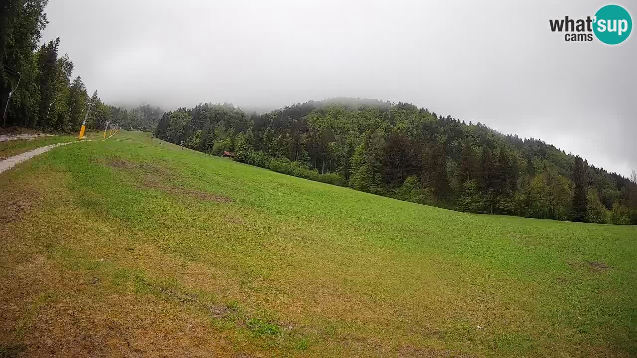 Ski Kranjska Gora | Brsnina