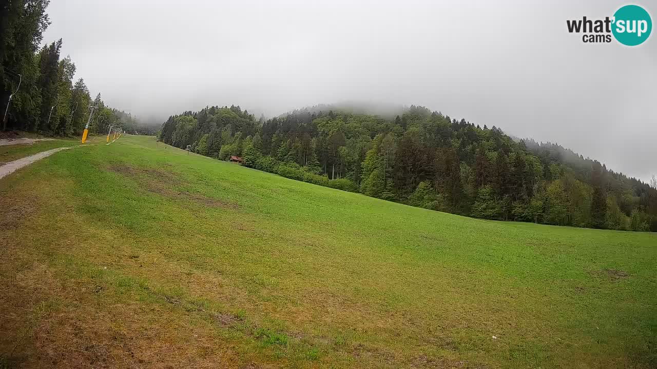 Ski Kranjska Gora | Brsnina