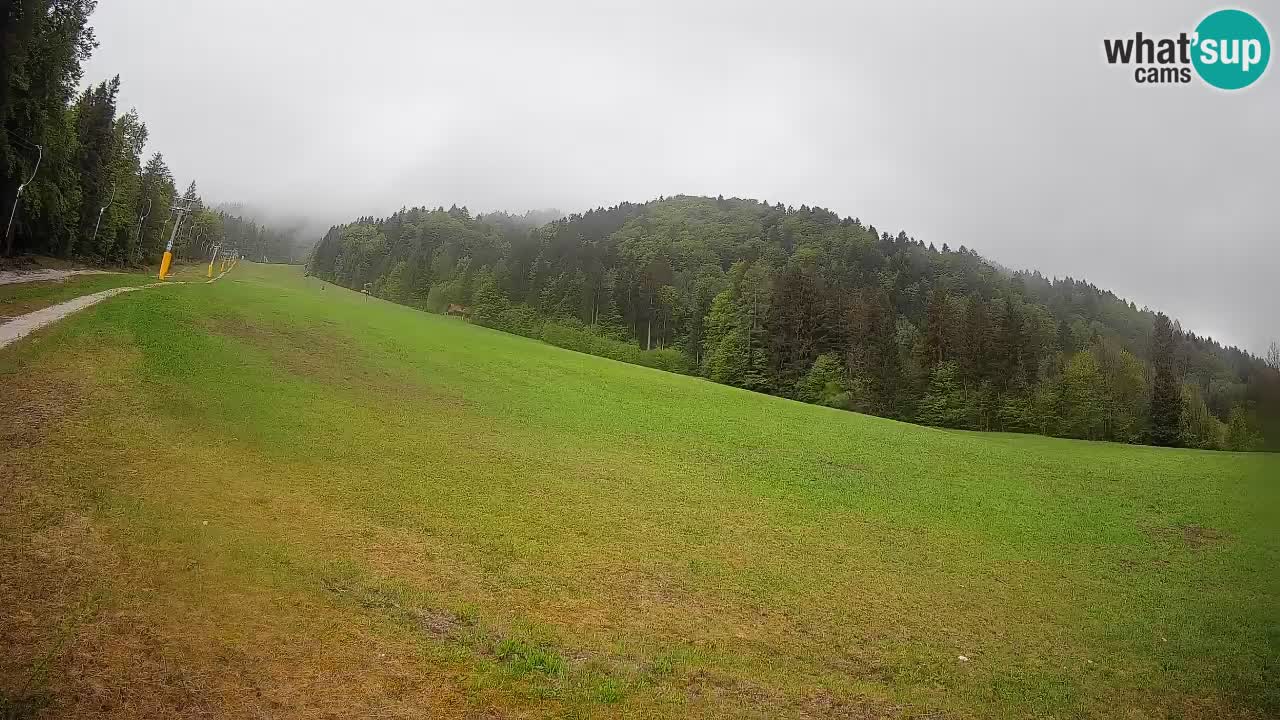 RTC Skigebiet Kranjska Gora | Brsnina