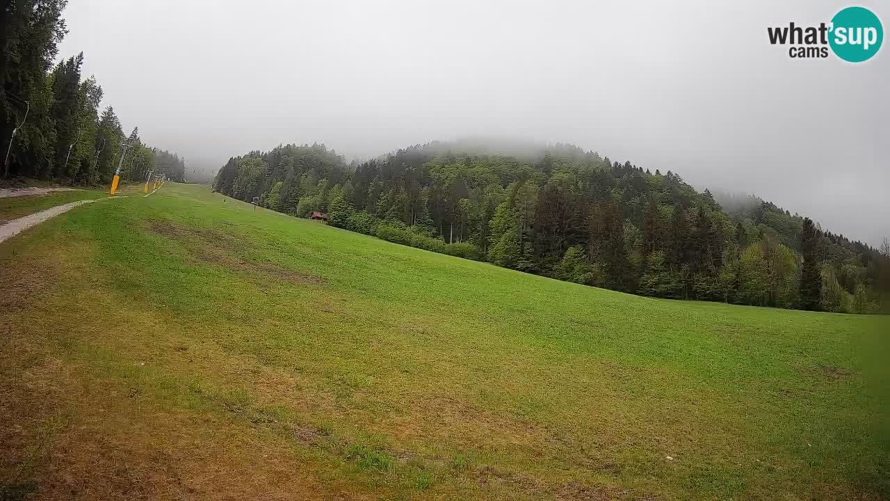Ski Kranjska Gora | Brsnina