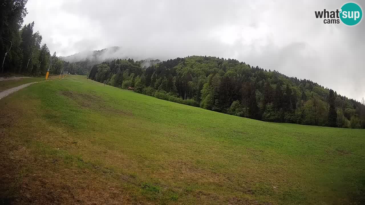 Ski Kranjska Gora | Brsnina
