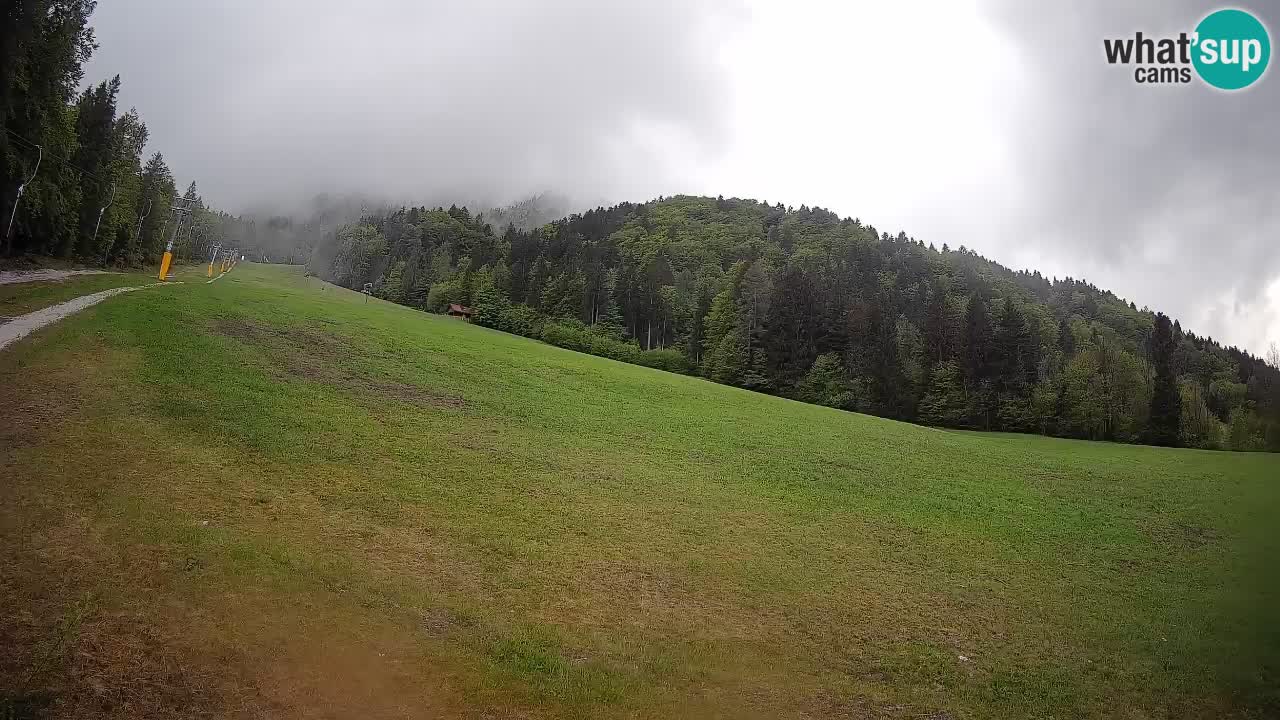 Kranjska Gora Station de ski | Brsnina