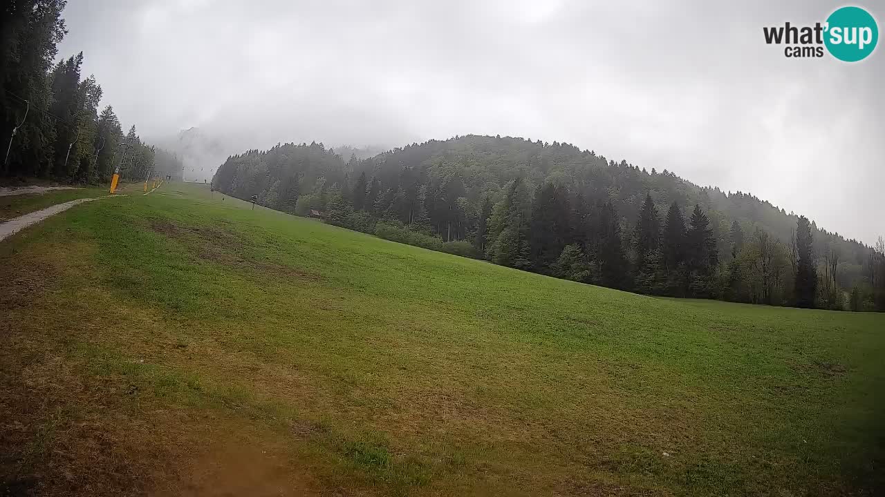 RTC Skigebiet Kranjska Gora | Brsnina